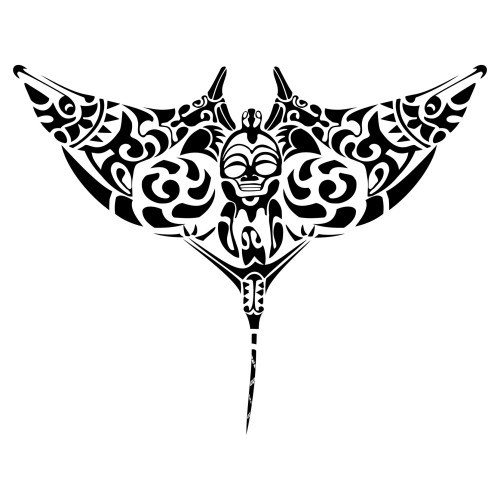 Manta