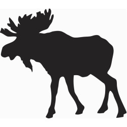 Moose