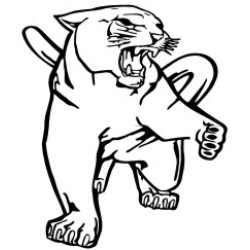 Panther