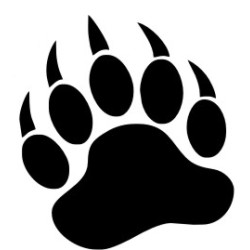 Bear Paw