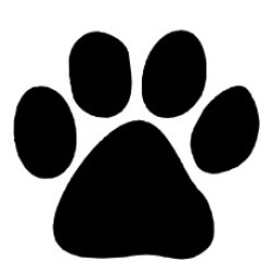 Dog Paw