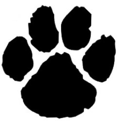 Wildcat Paw