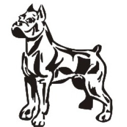 Pitbull