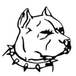 Pitbull