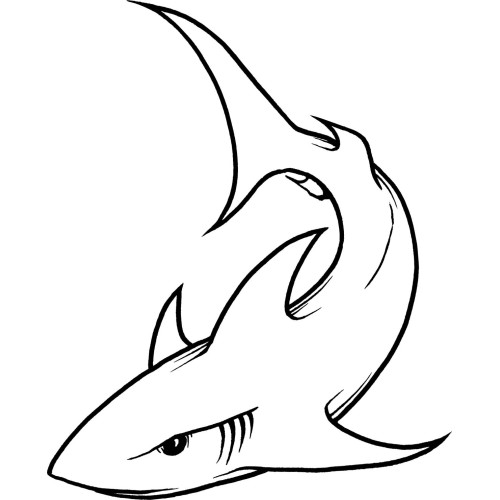 Shark