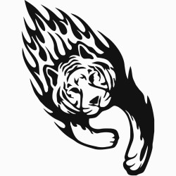 Tiger with flames