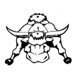 Bull