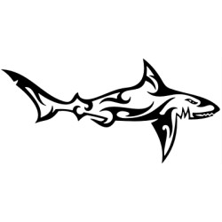 Shark