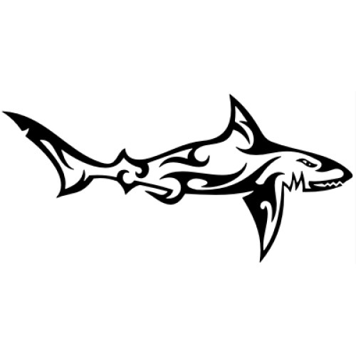 Shark