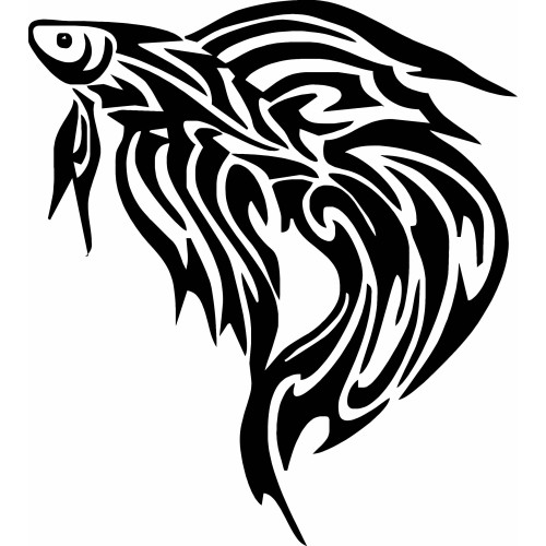 Beta Fish