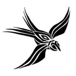 Swallow