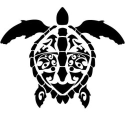 Turtle, Tortoise