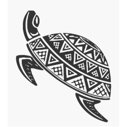 Turtle, Tortoise