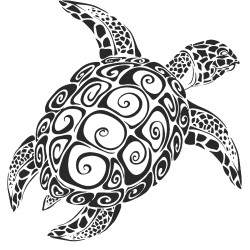 Turtle, Tortoise
