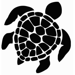 Turtle, Tortoise