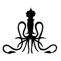 Squid