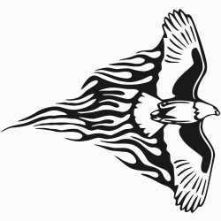 Eagle with flames