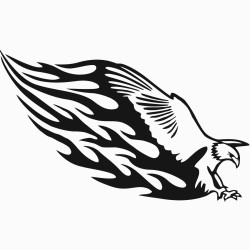 Eagle with flames