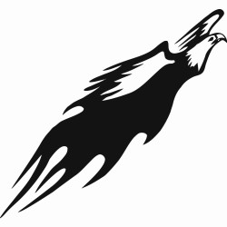 Eagle with flames