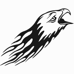 Eagle with flames