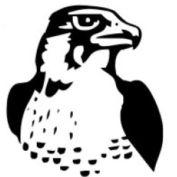 Falcon