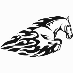 Horse with flames