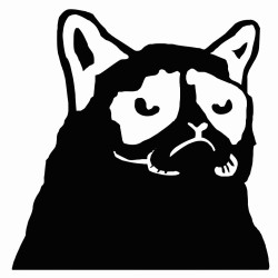 Grumpy Cat
