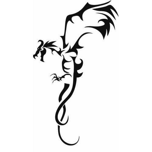Dragon 13