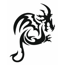 Dragon 29