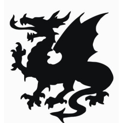 Dragon 8
