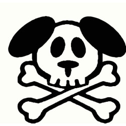 Dog skull