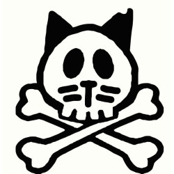 Cat skull