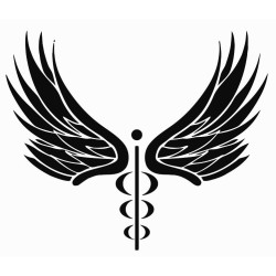 Caduceus 2