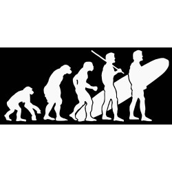 Surf evolution