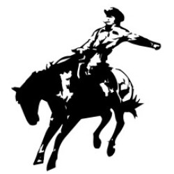 Horse ride