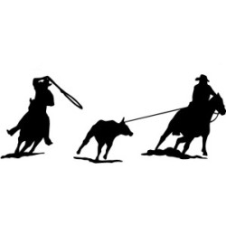 Roping calf 2