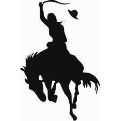 Horse ride 4