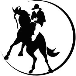 Horse ride 5