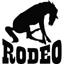 Rodeo