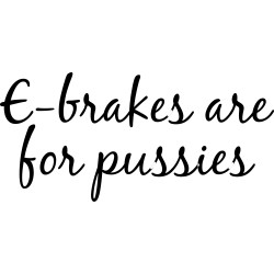e-brakes are for pussies