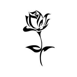 rose
