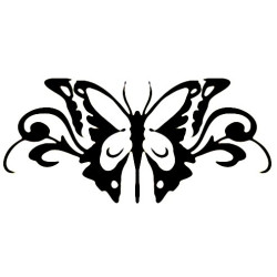 butterfly