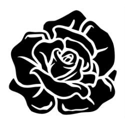 rose 3