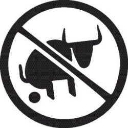 no bullshit