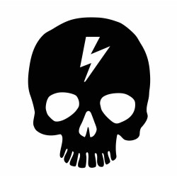 skull and lightning