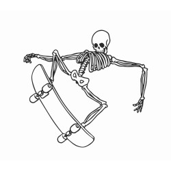 skull and skateboard