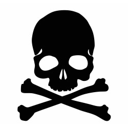 Skull and crossbones 1