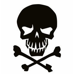 Skull and crossbones 5