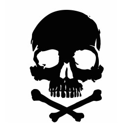 Skull and crossbones 6