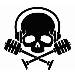 Skull and crossed mics